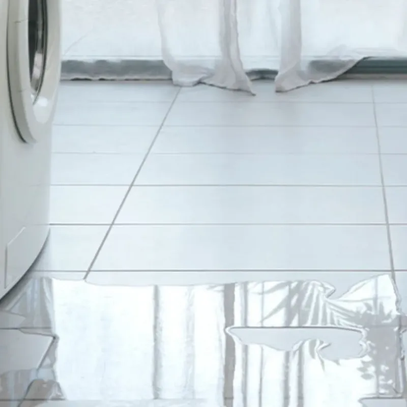 Appliance Leak Cleanup in Lockeford, CA